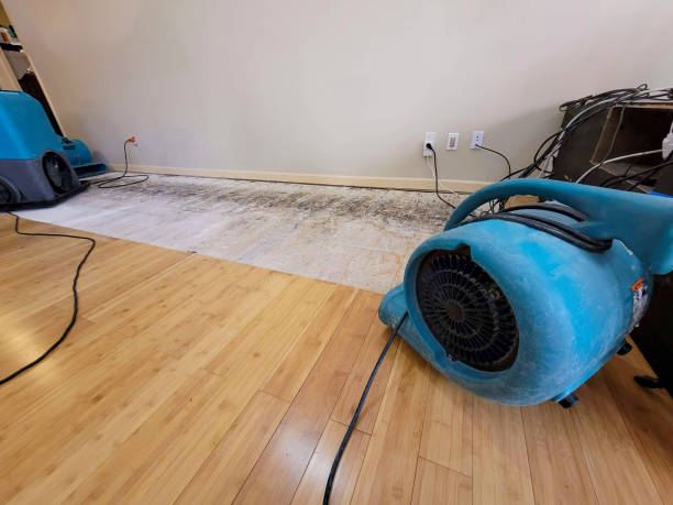 Reliable Emergency Water Removal contractor in San Antonio, FL by Hirex Water Damage